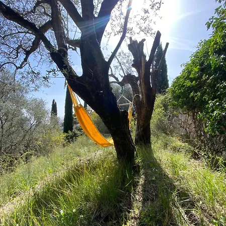 Proche Grasse - De La Madonette Speracedes